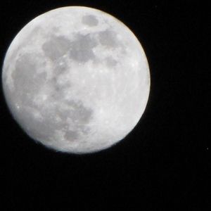 Meet your Posher, Willow